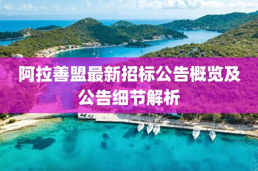 阿拉善盟最新招标公告概览及公告细节解析