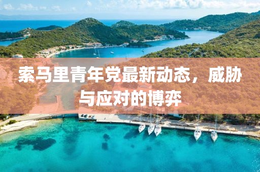 索马里青年党最新动态，威胁与应对的博弈