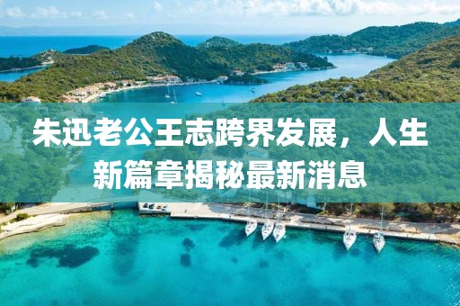 朱迅老公王志跨界发展，人生新篇章揭秘最新消息