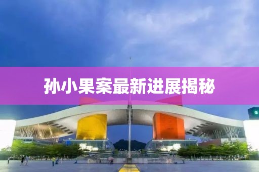 孙小果案最新进展揭秘