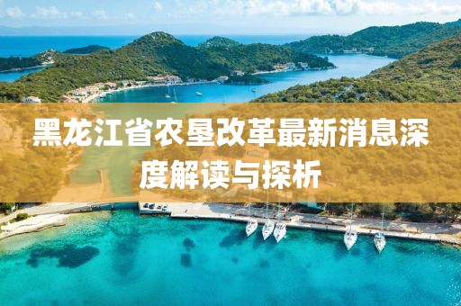 黑龙江省农垦改革最新消息深度解读与探析