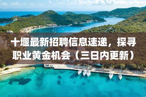 十堰最新招聘信息速递，探寻职业黄金机会（三日内更新）