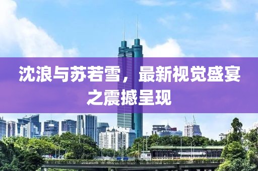 旧行李 第20页