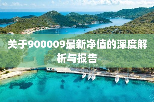 关于900009最新净值的深度解析与报告