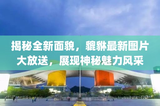 揭秘全新面貌，貔貅最新图片大放送，展现神秘魅力风采