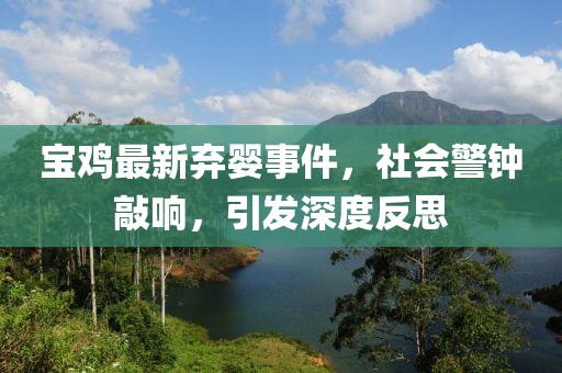 宝鸡最新弃婴事件，社会警钟敲响，引发深度反思
