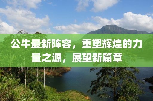 公牛最新阵容，重塑辉煌的力量之源，展望新篇章