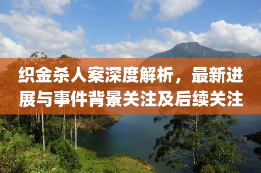 织金杀人案深度解析，最新进展与事件背景关注及后续关注