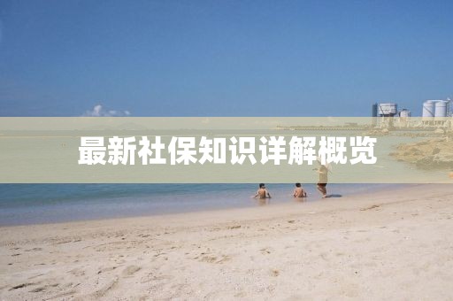 最新社保知识详解概览