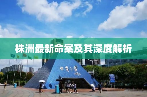 株洲最新命案及其深度解析