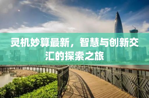 灵机妙算最新，智慧与创新交汇的探索之旅