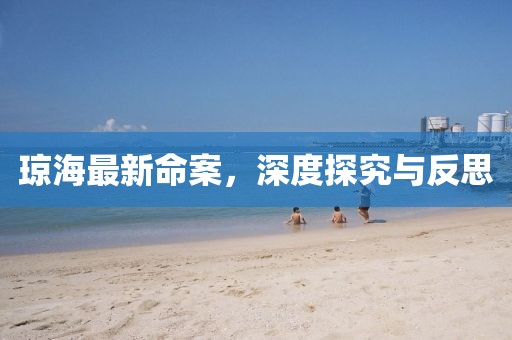 琼海最新命案，深度探究与反思