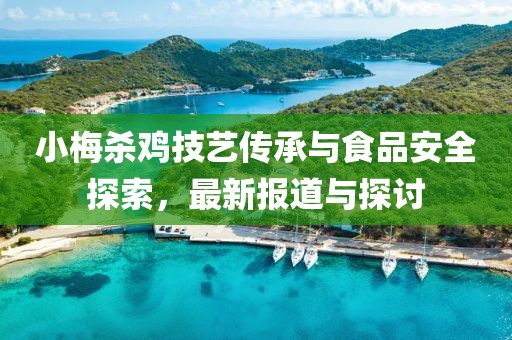 小梅杀鸡技艺传承与食品安全探索，最新报道与探讨