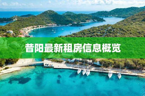 陈默儿 第17页