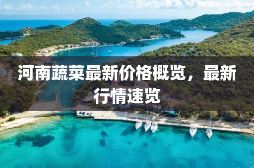 河南蔬菜最新价格概览，最新行情速览