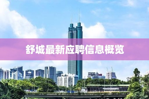 舒城最新应聘信息概览
