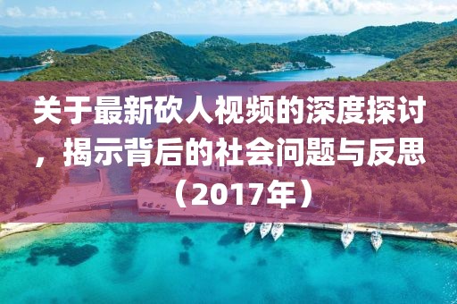 关于最新砍人视频的深度探讨，揭示背后的社会问题与反思（2017年）