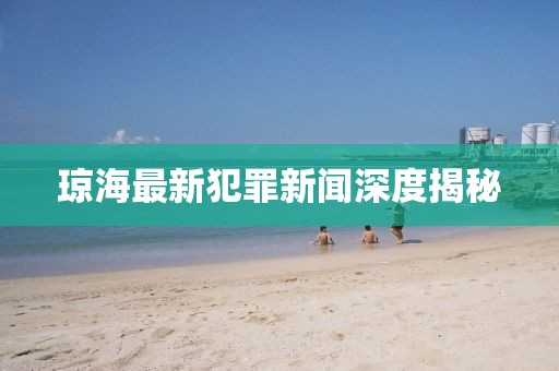 琼海最新犯罪新闻深度揭秘