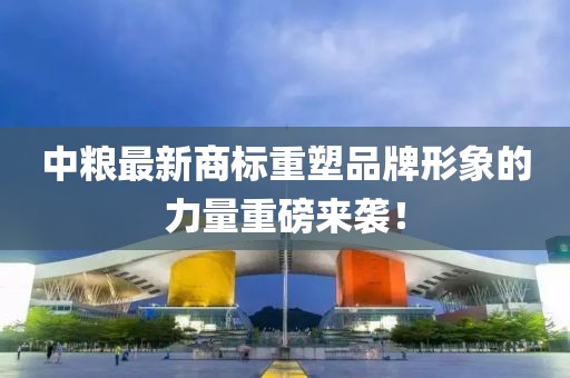 思谁红 第17页
