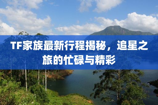 TF家族最新行程揭秘，追星之旅的忙碌与精彩