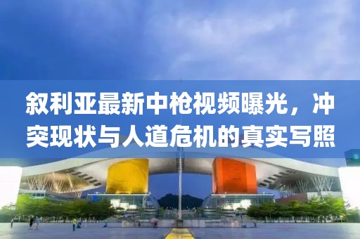 叙利亚最新中枪视频曝光，冲突现状与人道危机的真实写照