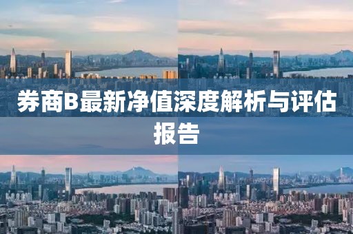 券商B最新净值深度解析与评估报告