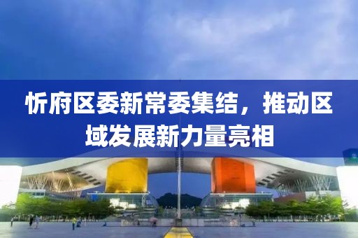 忻府区委新常委集结，推动区域发展新力量亮相