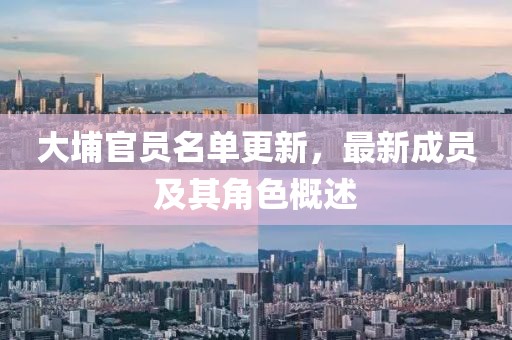大埔官员名单更新，最新成员及其角色概述