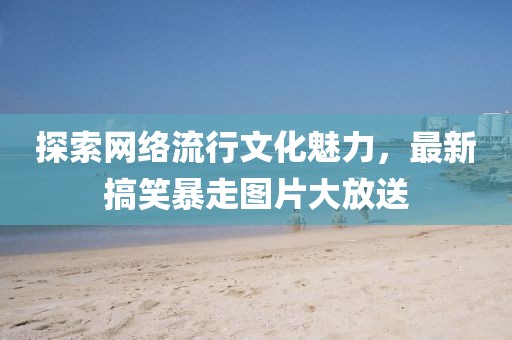 探索网络流行文化魅力，最新搞笑暴走图片大放送