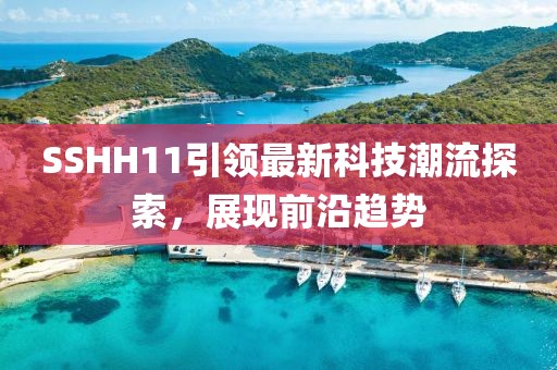 SSHH11引领最新科技潮流探索，展现前沿趋势