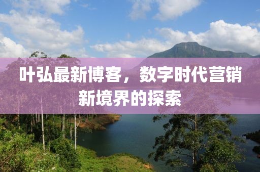 叶弘最新博客，数字时代营销新境界的探索