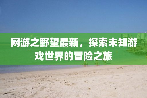 网游之野望最新，探索未知游戏世界的冒险之旅
