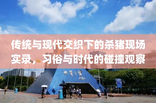 传统与现代交织下的杀猪现场实录，习俗与时代的碰撞观察