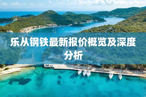 乐从钢铁最新报价概览及深度分析