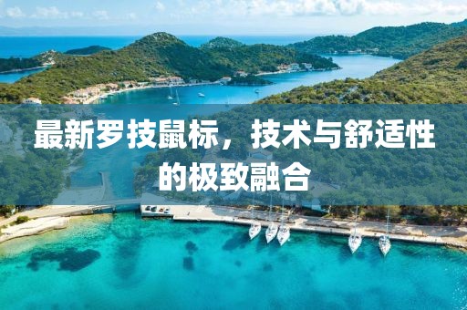最新罗技鼠标，技术与舒适性的极致融合