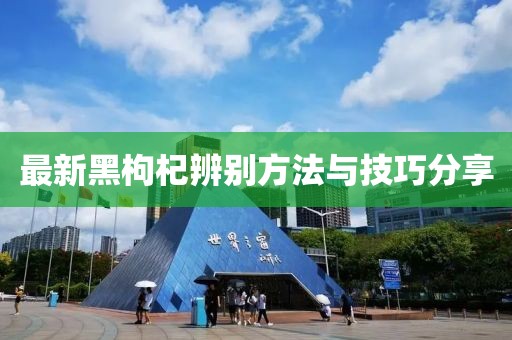2025年1月 第121页