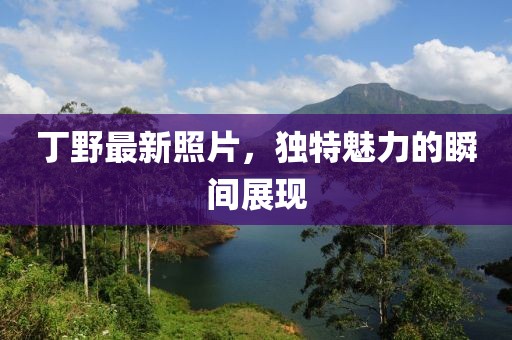 风萧龙 第17页
