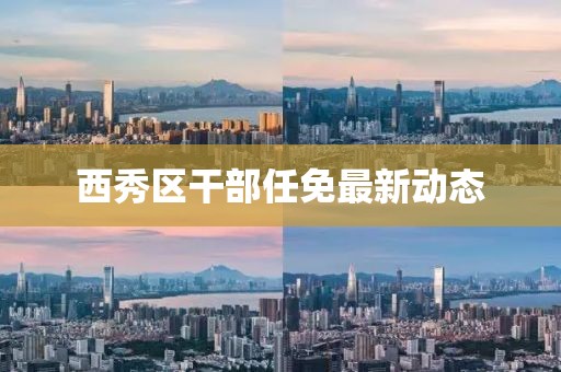 西秀区干部任免最新动态