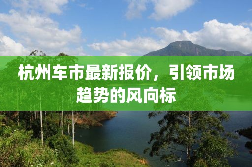 杭州车市最新报价，引领市场趋势的风向标