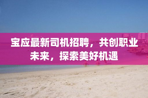 宝应最新司机招聘，共创职业未来，探索美好机遇
