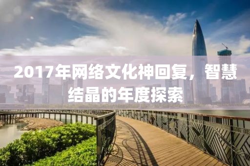 2017年网络文化神回复，智慧结晶的年度探索
