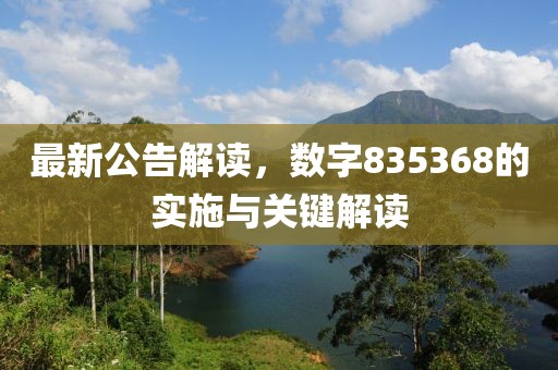 最新公告解读，数字835368的实施与关键解读