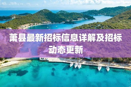 萧县最新招标信息详解及招标动态更新