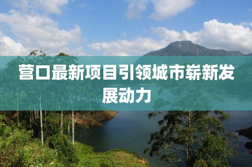 营口最新项目引领城市崭新发展动力