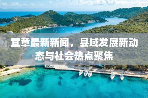 宜章最新新闻，县域发展新动态与社会热点聚焦