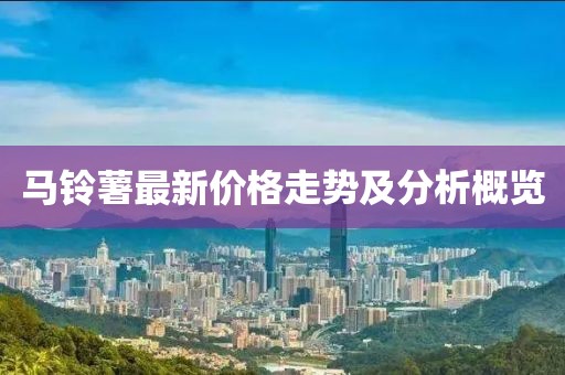 马铃薯最新价格走势及分析概览