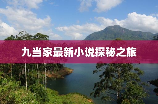 九当家最新小说探秘之旅