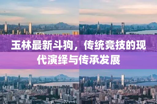 玉林最新斗狗，传统竞技的现代演绎与传承发展