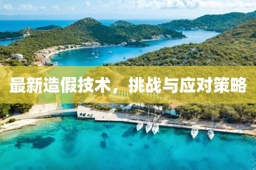 最新造假技术，挑战与应对策略