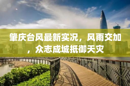 肇庆台风最新实况，风雨交加，众志成城抵御天灾